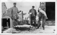 Days Catch on the Docks