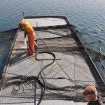 Washing the nets before returning them to the water.